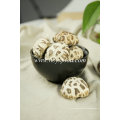 White Flower Mushroom Dried Agricultural Product